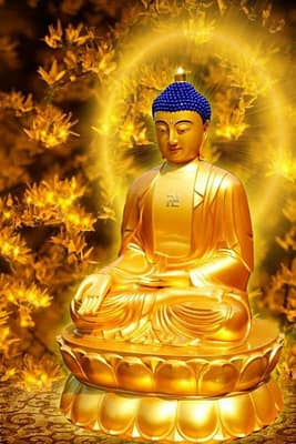 hinh-anh-phat-a-di-da-dep-nhat-31