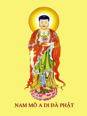 hinh-anh-phat-a-di-da-dep-nhat-25