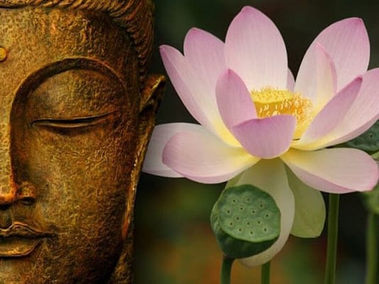 loi-phat-day-ve-cuoc-song-vo-thuong-2