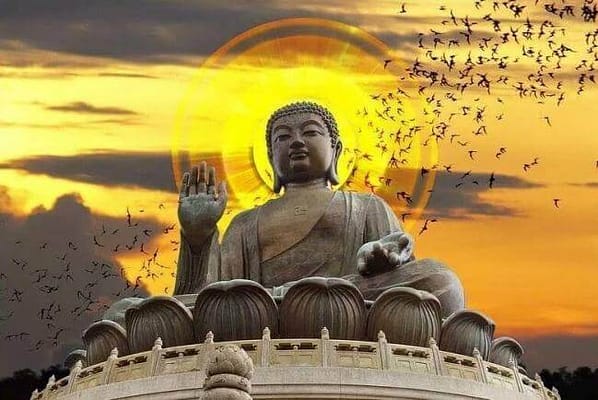Loi-Phat-day-ve-cuoc-song-an-nhien-3