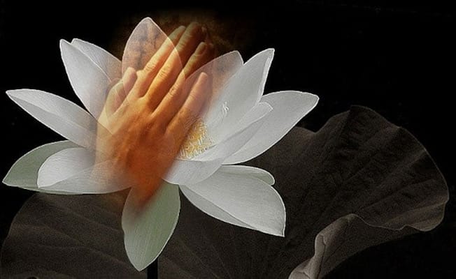 Nhung-viec-gia-dinh-can-lam-cho-nguoi-mat