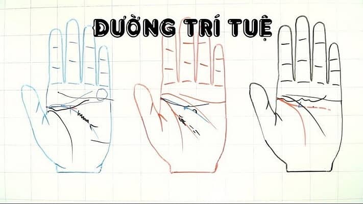 nhung-duong-chi-khong-nen-co-4