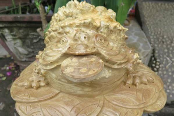 HUONG-DAN-CAC-BUOC-KHAI-QUANG-COC-NGAM-TIEN-CHUAN-PHONG-THUY