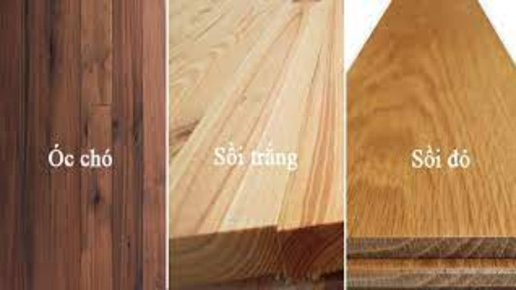 Nhận biết bàn thờ gỗ Sồi Nhận biết bàn thờ gỗ Sồi
