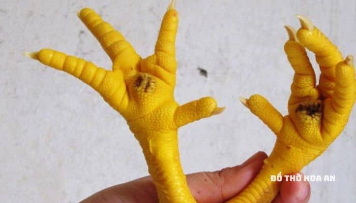 Có nhiều kiểu chân gà khác nhau ứng với điềm tốt xấu của gia chủ Có nhiều kiểu chân gà khác nhau ứng với điềm tốt xấu của gia chủ
