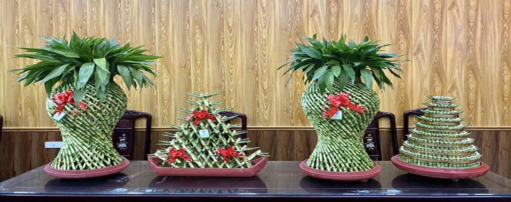 Các yếu tố Ngũ Hành của Cây Phát Lộc Các yếu tố Ngũ Hành của Cây Phát Lộc
