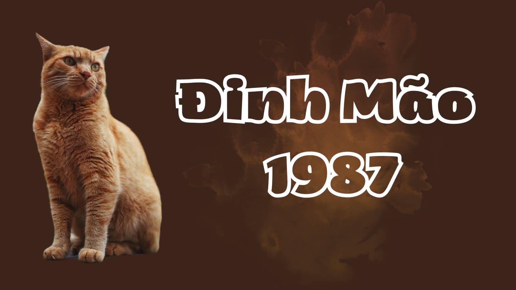 Gia chủ tuổi Đinh Mão Gia chủ tuổi Đinh Mão