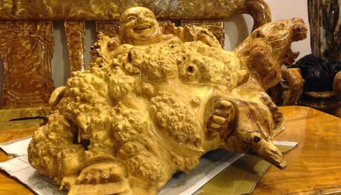 Gỗ Nu Nghiến có giá trị cao Gỗ Nu Nghiến có giá trị cao