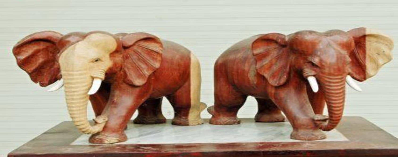 cách đặt tượng Voi Phong Thủy trong nhà cách đặt tượng Voi Phong Thủy trong nhà
