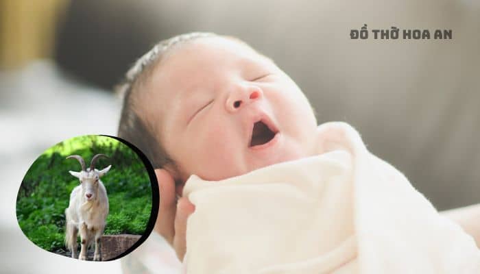 Sinh giờ Tý (23-1h): Mùi mệnh Thổ khắc chế Tý mệnh Thủy